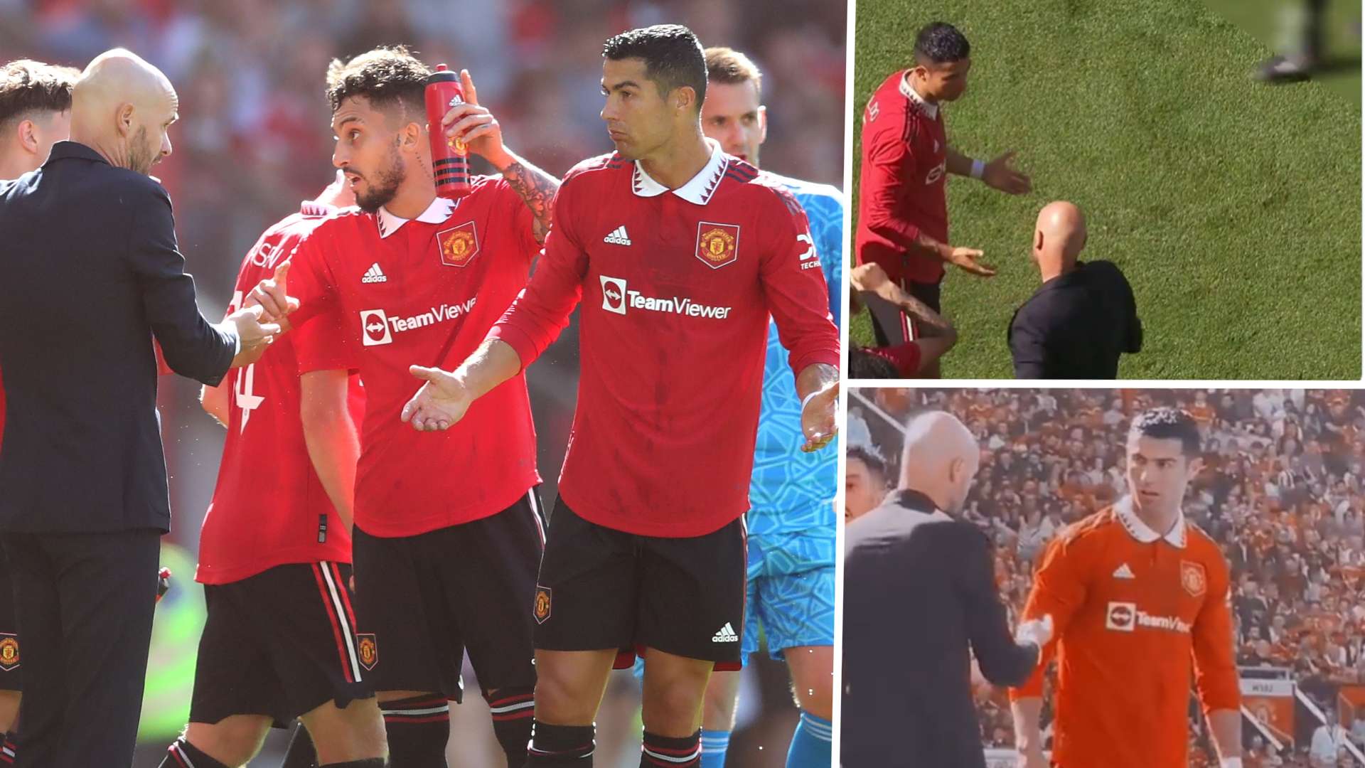 球迷们的热 球迷们的热